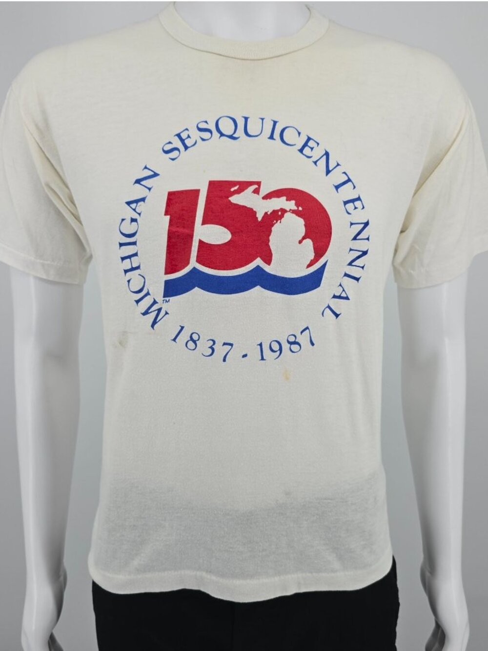 Distressed Vintage 1987 D.G. Sportswear Michigan Sesquicentennial T-Shirt (M)